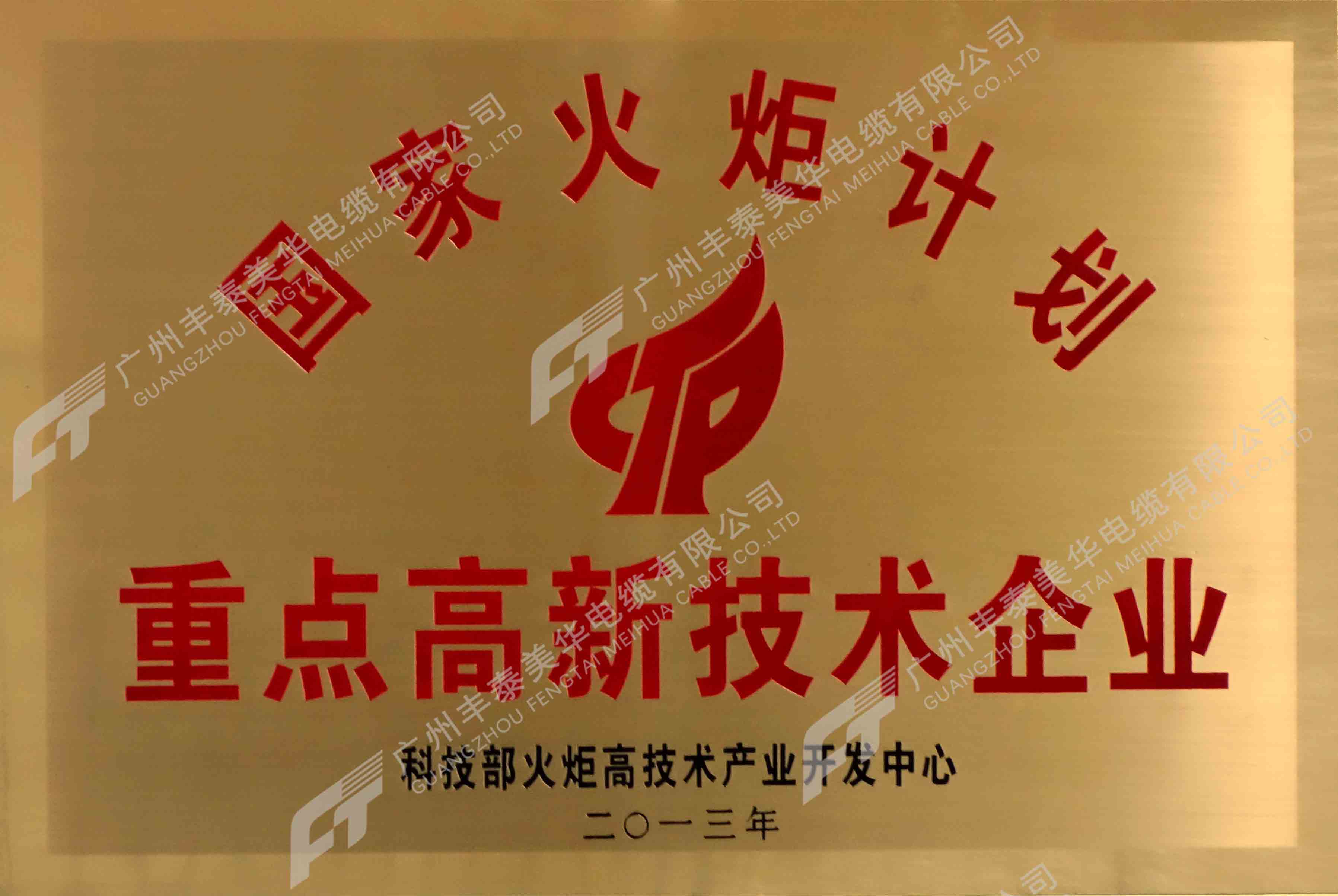 重點高新技術企業